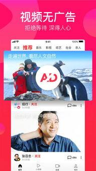 吃瓜调侃视频下载免费观看,免费下载观看,揭秘吃瓜调侃视频的魅力 第3张 吃瓜调侃视频下载免费观看,免费下载观看,揭秘吃瓜调侃视频的魅力 第3张