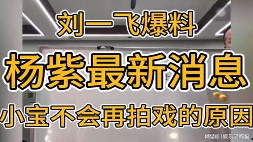 刘一飞最新爆料,揭秘娱乐圈惊人内幕  第2张
