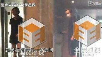 最新黑花所有爆料在哪看,揭秘事件全貌 第1张 最新黑花所有爆料在哪看,揭秘事件全貌 第1张